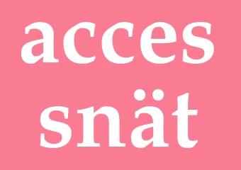 Synonym accessnät