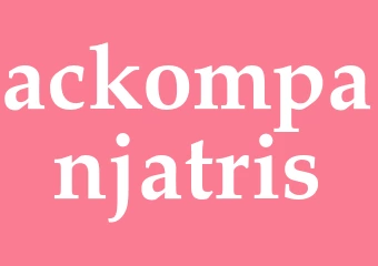 Synonym ackompanjatris