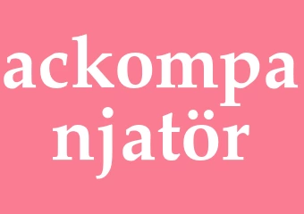 Synonym ackompanjatör