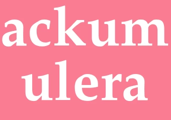 Synonym ackumulera