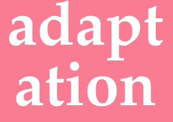 Synonym adaptation