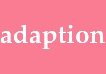 Synonym adaption
