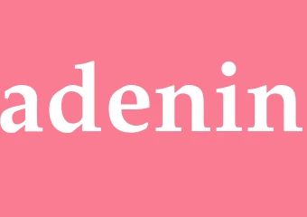 Synonym adenin