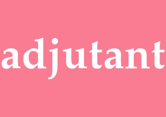 Synonym adjutant