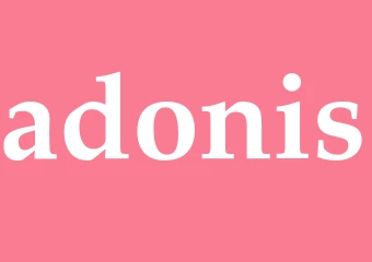 Synonym adonis