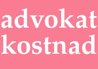 Synonym advokatkostnad