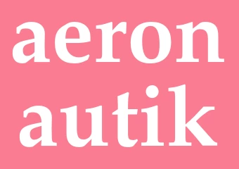 Synonym aeronautik