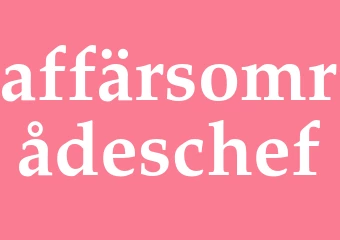Synonym affärsområdeschef