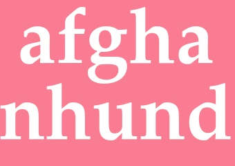 Synonym afghanhund