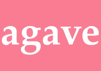 Synonym agave