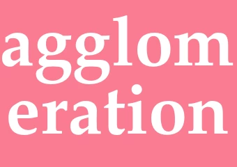 Synonym agglomeration