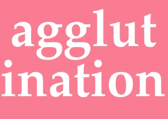 Synonym agglutination