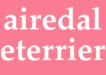 Synonym airedaleterrier