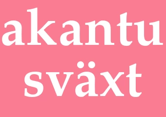 Synonym akantusväxt