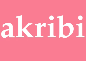 Synonym akribi