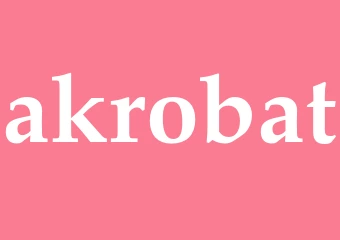 Synonym akrobat