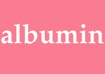 Synonym albumin
