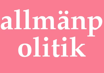 Synonym allmänpolitik