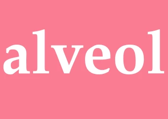 Synonym alveol