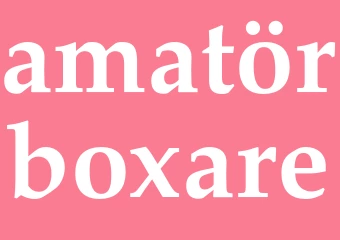 Synonym amatörboxare