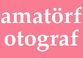 Synonym amatörfotograf