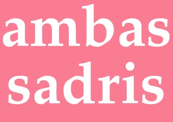 Synonym ambassadris