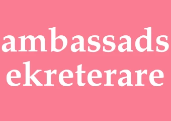 Synonym ambassadsekreterare