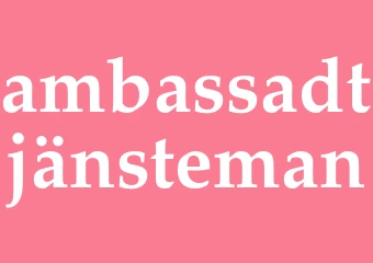 Synonym ambassadtjänsteman
