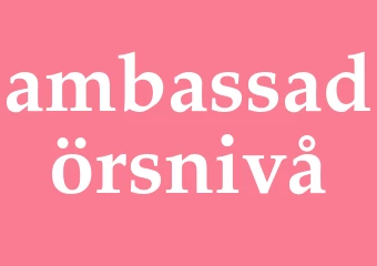 Synonym ambassadörsnivå