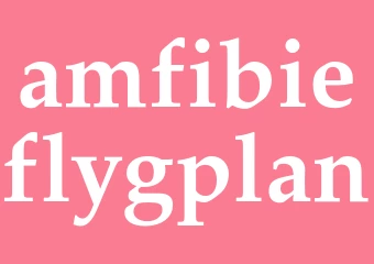 Synonym amfibieflygplan
