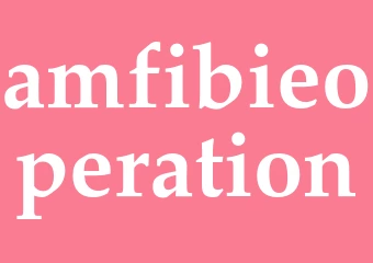 Synonym amfibieoperation