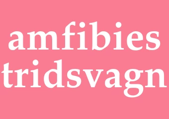 Synonym amfibiestridsvagn
