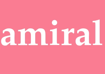 Synonym amiral
