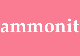 Synonym ammonit