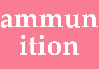 Synonym ammunition