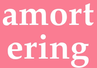 Synonym amortering