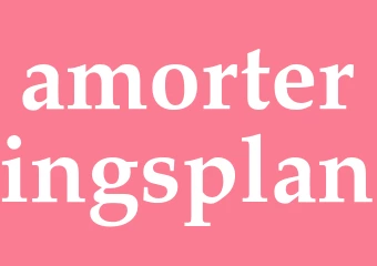 Synonym amorteringsplan
