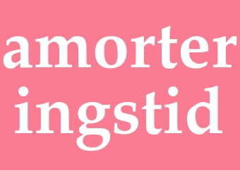 Synonym amorteringstid