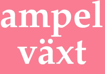 Synonym ampelväxt