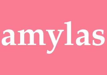 Synonym amylas