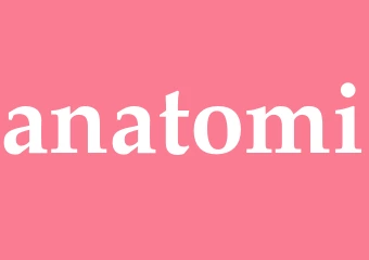 Synonym anatomi