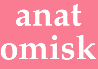 Synonym anatomisk