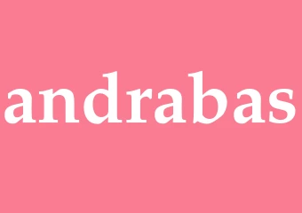 Synonym andrabas