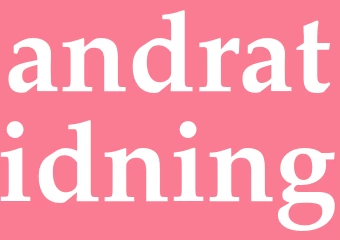 Synonym andratidning
