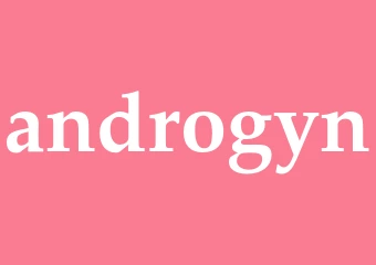 Synonym androgyn