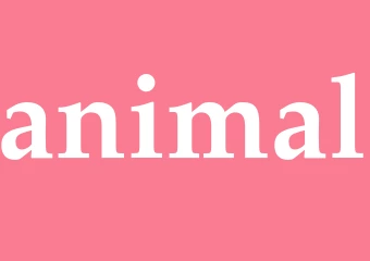 Synonym animal