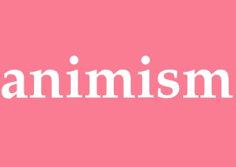 Synonym animism
