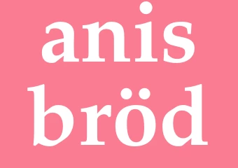Synonym anisbröd