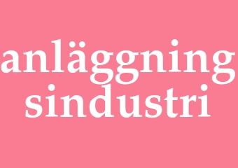 Synonym anläggningsindustri