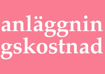 Synonym anläggningskostnad
